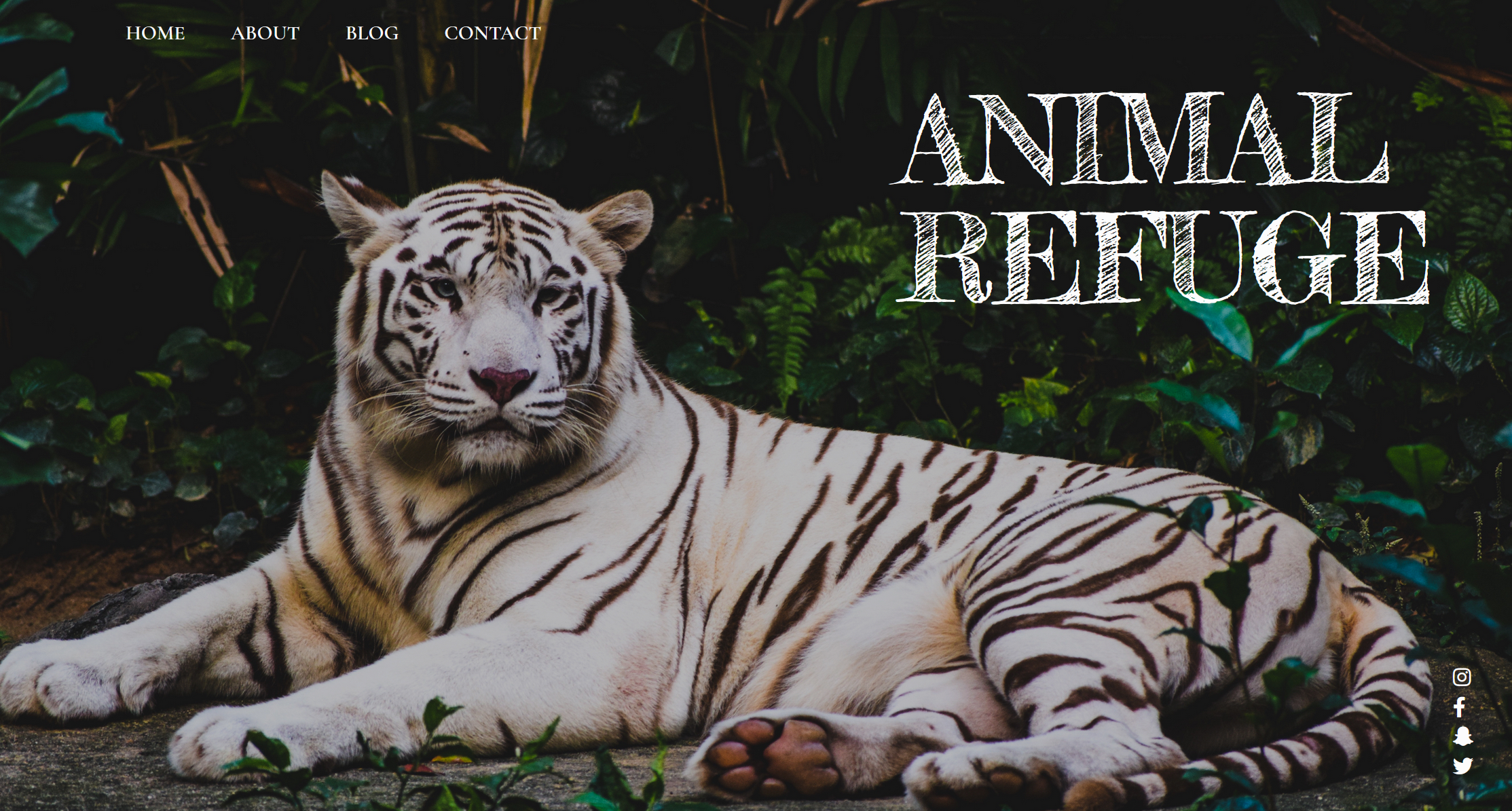 Landing page image of Animal Refuge project.